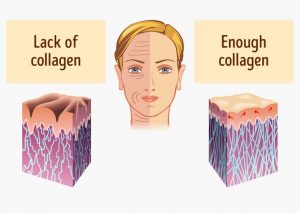collagen effect on skin